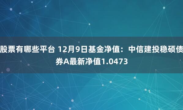 股票有哪些平台 12月9日基金净值：中信建投稳硕债券A最新净值1.0473