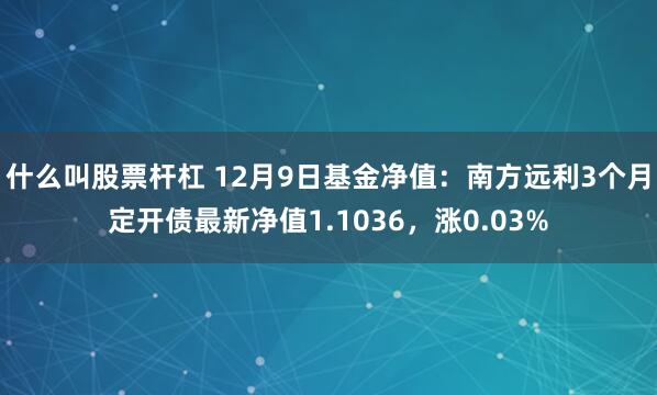 什么叫股票杆杠 12月9日基金净值：南方远利3个月定开债最新净值1.1036，涨0.03%