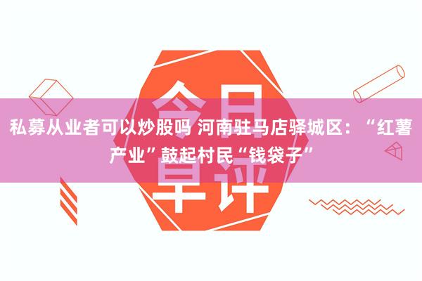 私募从业者可以炒股吗 河南驻马店驿城区：“红薯产业”鼓起村民“钱袋子”