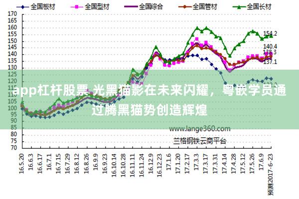 app杠杆股票 光黑猫影在未来闪耀，粤嵌学员通过腾黑猫势创造辉煌